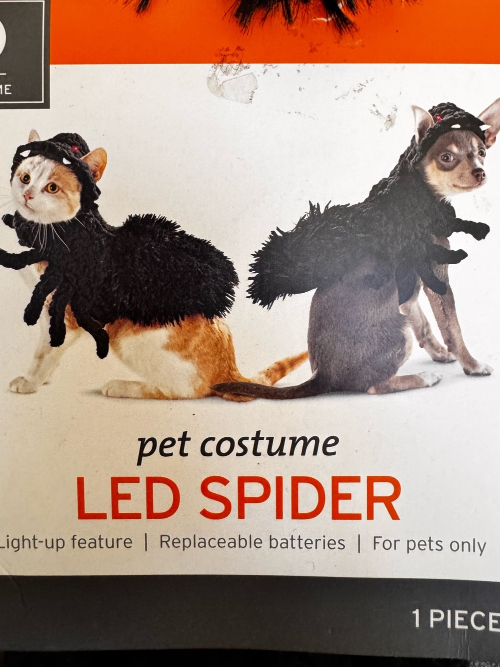 “LED Spider” Pet Costume - Black